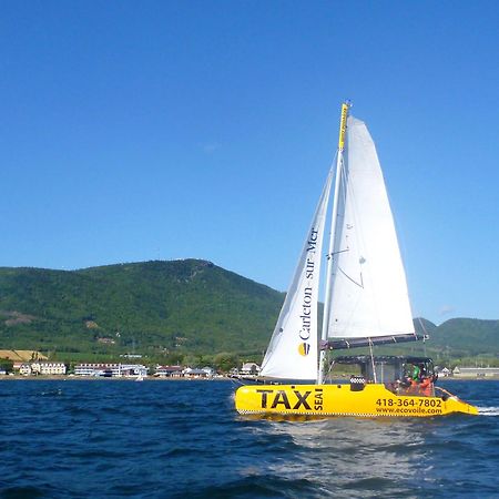 Est Eco-Cabines Nouvelle Exteriör bild